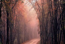 比利时队遭遇困难，艰难晋级强