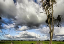 不败神话！球队获得亚冠小组第一冲击淘汰赛