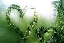 勒沃库森主场大胜，优势明显