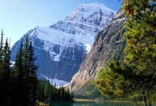 印度尼西亚选手勇夺亚军，令人赞叹