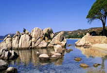 体操男子自由体操决赛日本选手夺冠